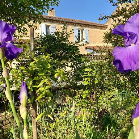 Bed and Breakfast Le Petit Cochon Valence-sur-Baise Экстерьер фото