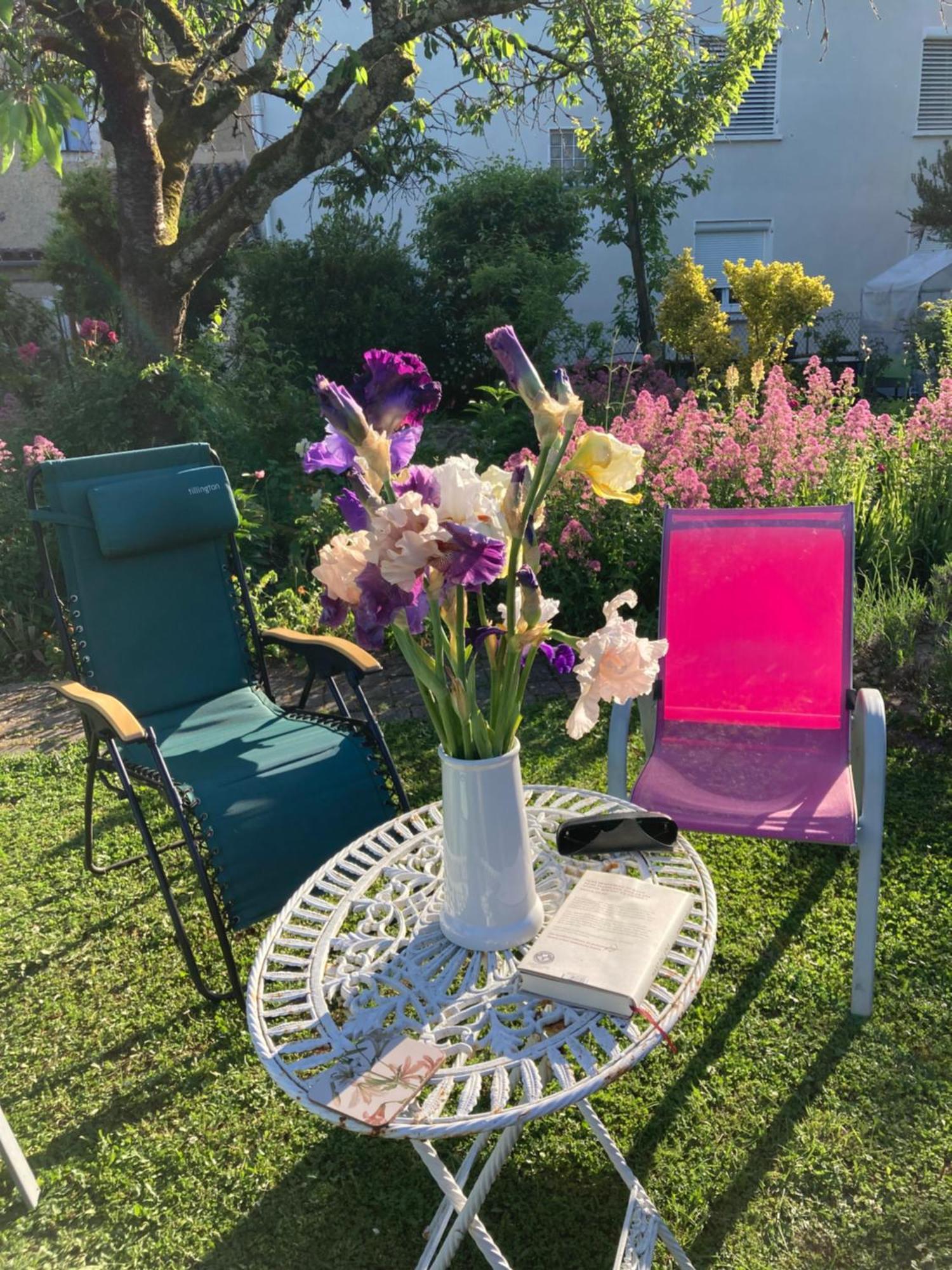 Bed and Breakfast Le Petit Cochon Valence-sur-Baise Экстерьер фото
